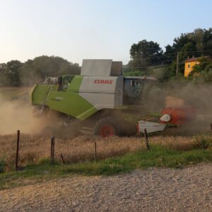 CLAAS TUCANO 430 (4)