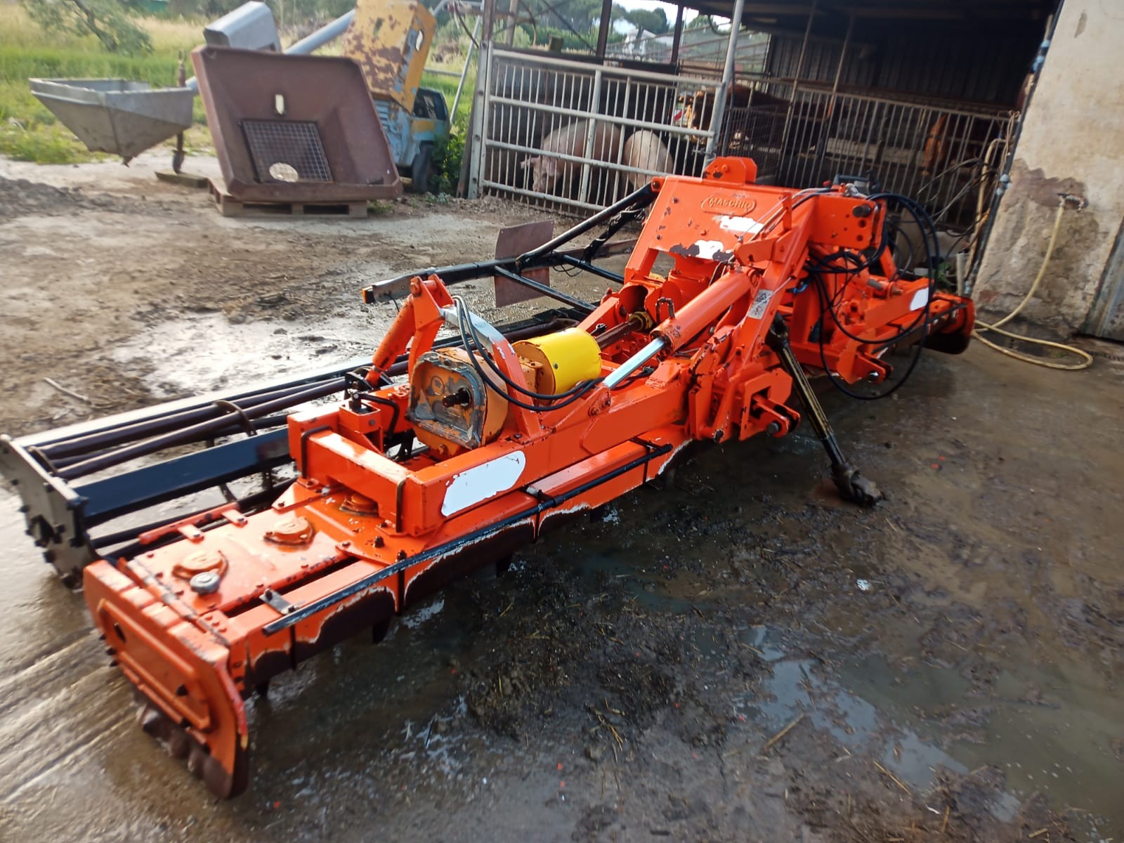 MASCHIO GASPARDO AQUILA
