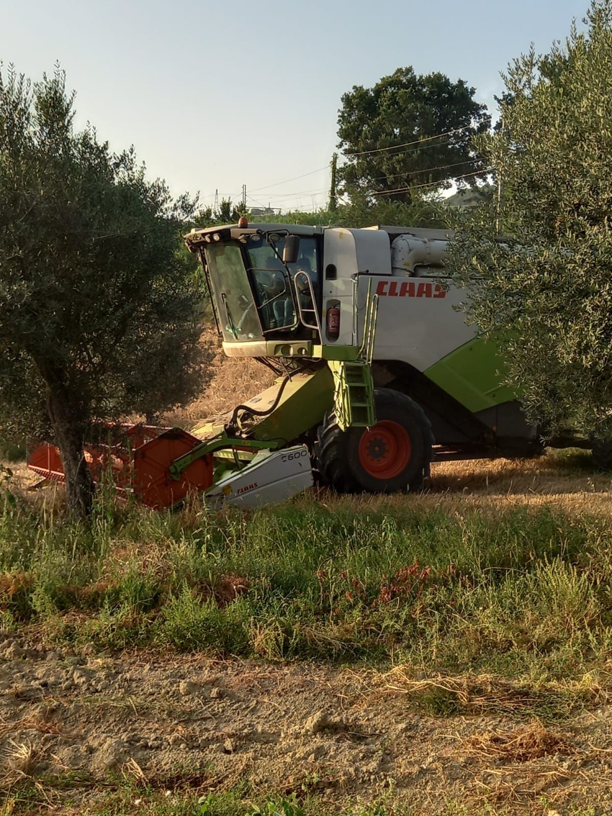 CLAAS TUCANO 430 (4)