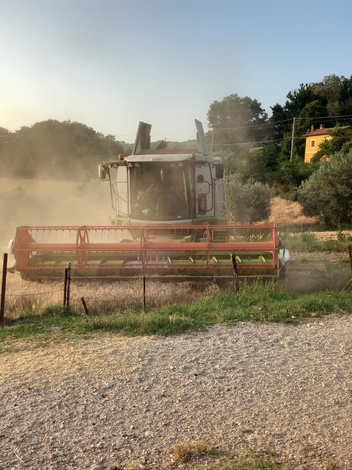 CLAAS TUCANO 430 (4)