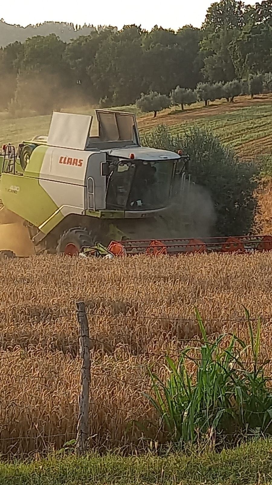 CLAAS TUCANO 430 (4)