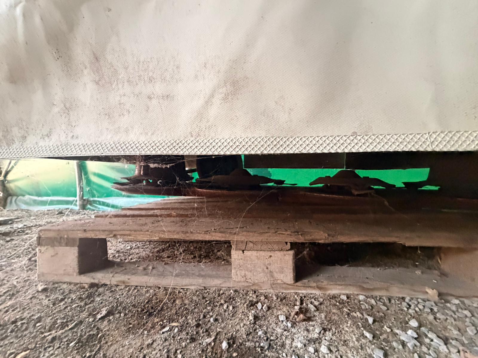BCS